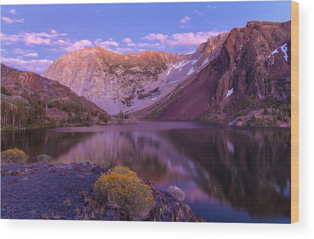 Landscape Wood Print featuring the photograph Late Summer Night Dream by Jonathan Nguyen