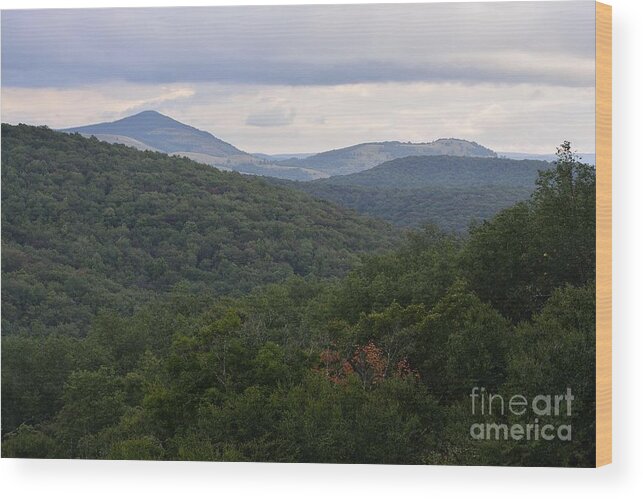Mountain Scenes Wood Print featuring the photograph Laurel Fork Overlook II by Randy Bodkins