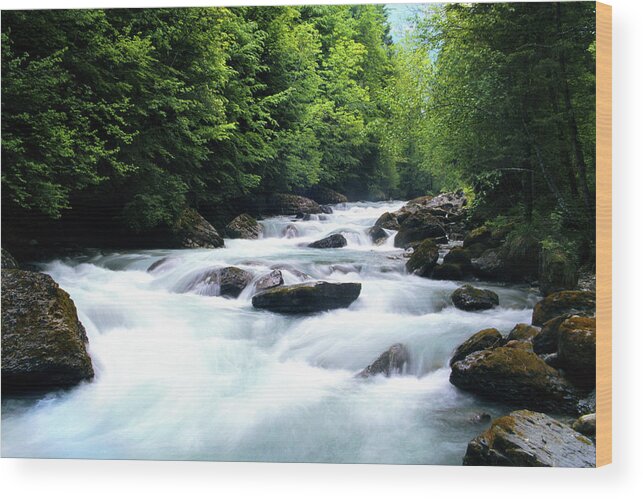 Europe Wood Print featuring the photograph Lauterbrunnen River by Matt Swinden