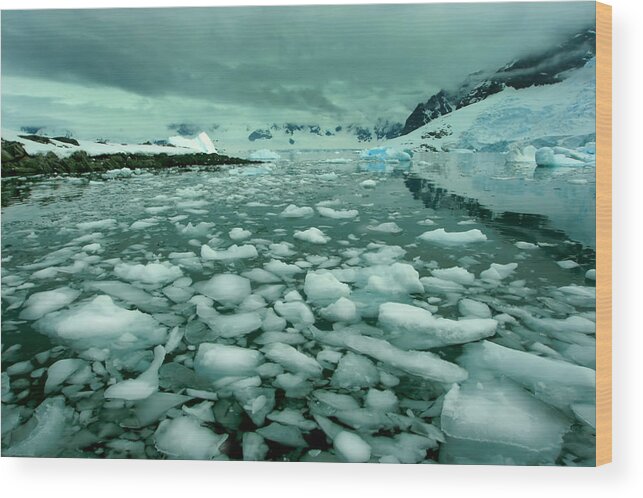 Icebergs Wood Print featuring the photograph Spring Ice Melt by Amanda Stadther