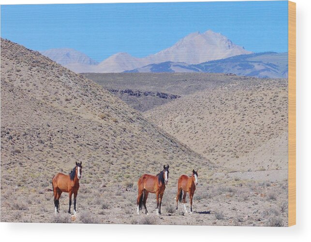 Mustang Wood Print featuring the photograph Let Freedom Ring by Marilyn Diaz