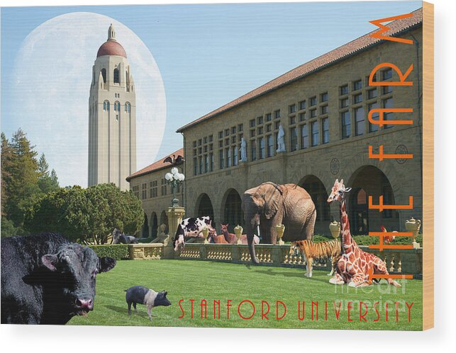 Stanford Wood Print featuring the photograph Life Down On The Farm Under The Moon Stanford University California with Text DSC685 by Wingsdomain Art and Photography