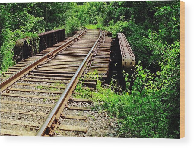 Railroads Wood Print featuring the photograph Life's Journey by Ira Shander