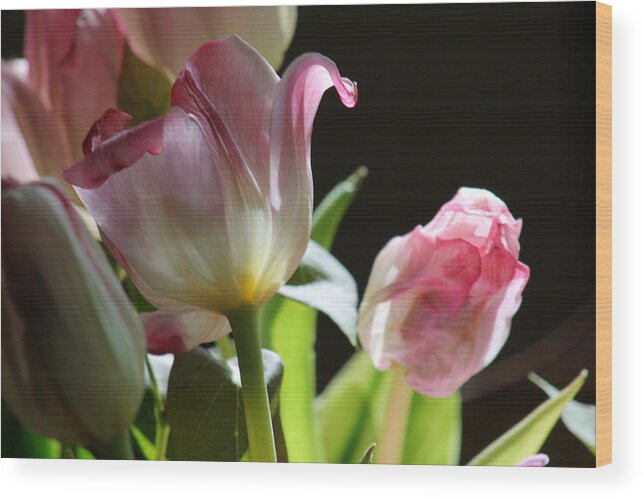 Flowers Wood Print featuring the photograph Light and life by Lily K
