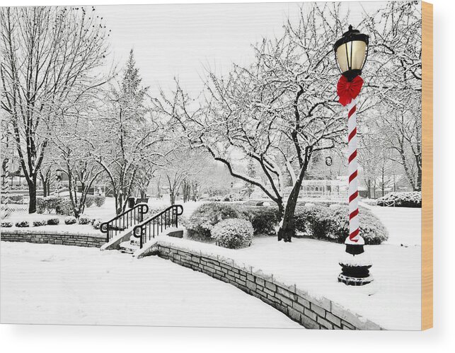 Winter Wood Print featuring the photograph Light in Winter by Patty Colabuono