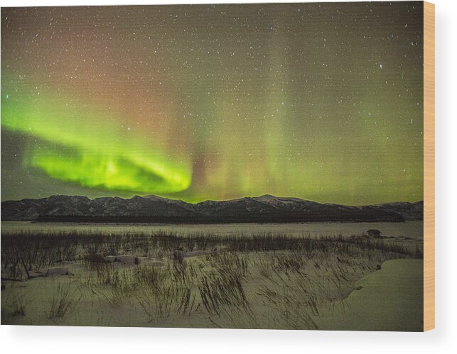 Aurora Borealis Wood Print featuring the photograph Light Loops by Chris Multop