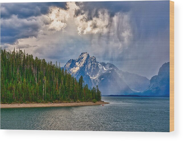 Grand Teton National Park Wood Print featuring the photograph Light on Moran by Greg Norrell