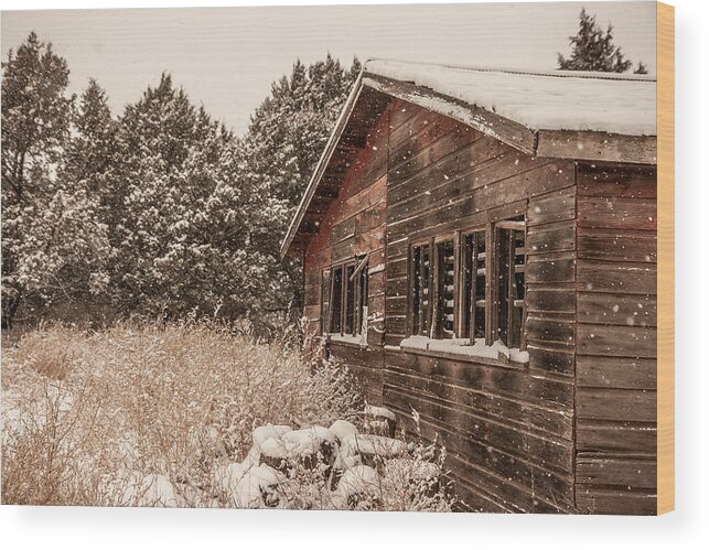  Barn Wood Print featuring the photograph Snowing Softly by Shirley Heier