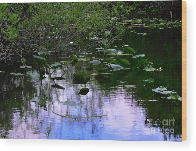 Lilies Wood Print featuring the photograph Lilies by Andres LaBrada
