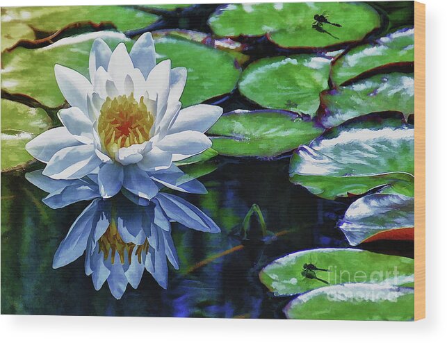 Pond Wood Print featuring the painting Lily and Dragon Flies by Elaine Manley