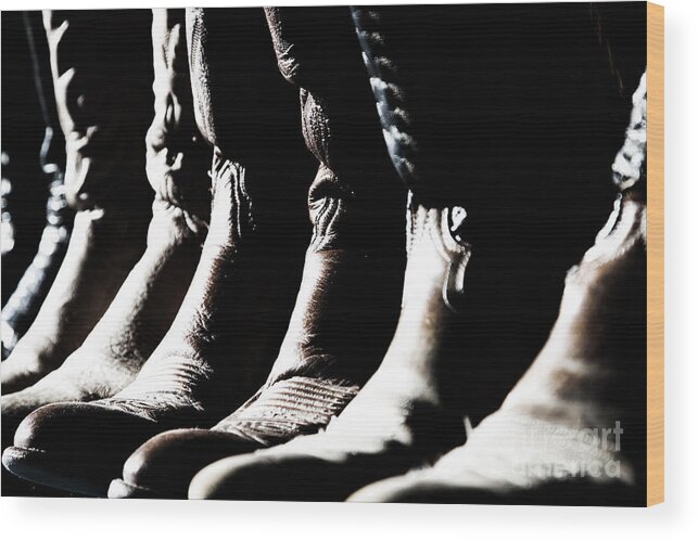 Cowboy Wood Print featuring the photograph Line of Cowboy Boots in Sunlight by Lincoln Rogers