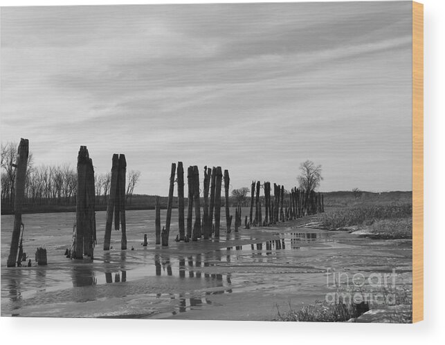 River Wood Print featuring the photograph Line of river pilings by Yumi Johnson