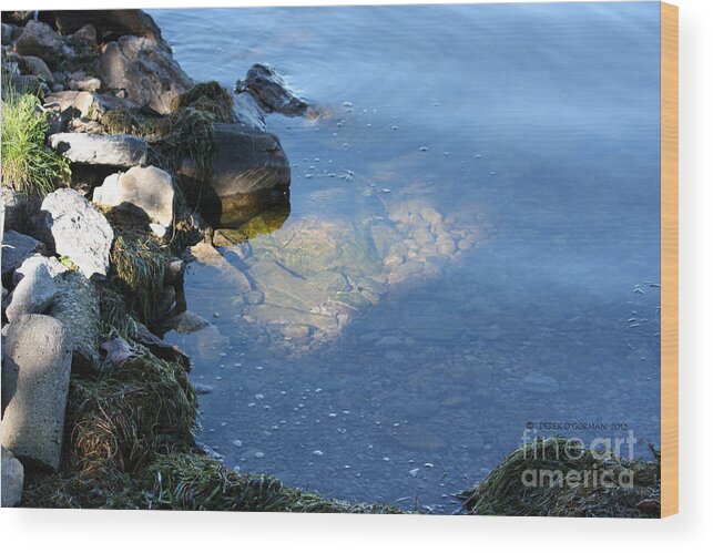 Balsam Lake Wood Print featuring the photograph Little Bay by Derek O'Gorman