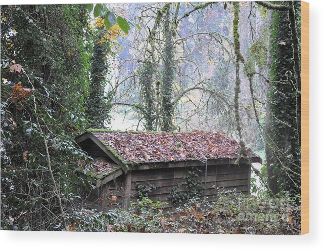 Cabin Wood Print featuring the photograph Little Cabin in the Woods by Tatyana Searcy