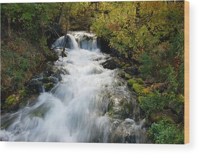 Waterfall Wood Print featuring the photograph Little Spearfish by Greni Graph