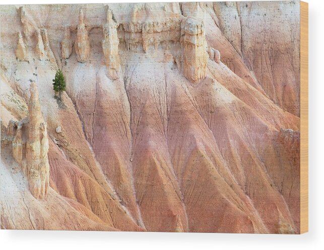 Canyon Wood Print featuring the photograph Little Things by Laura Tucker