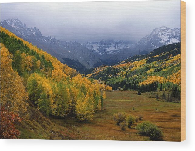Colorado Wood Print featuring the photograph Little Meadow of the Sublime by Eric Glaser