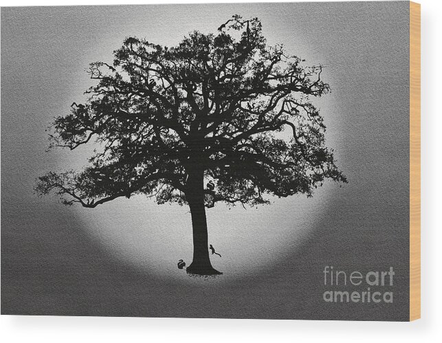 Squirrels Wood Print featuring the photograph Live oak and squirrels by Dan Friend