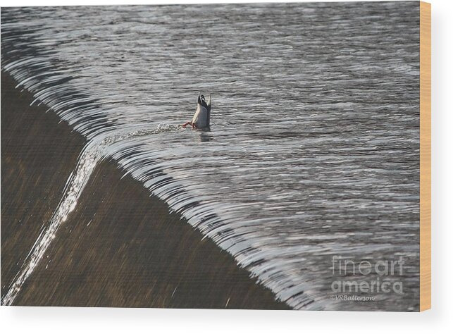 Duck Wood Print featuring the photograph Living Life on the Edge by Veronica Batterson