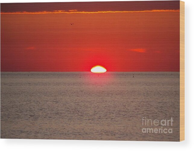 Lobster Wood Print featuring the photograph Lobster Pots Dance In The Sea At Sunrise by Eunice Miller