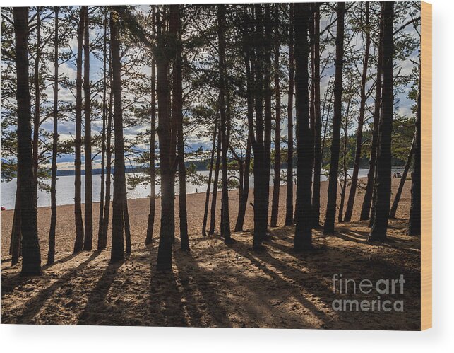 Sand Wood Print featuring the photograph Loch Morlich Through The Trees by Diane Macdonald