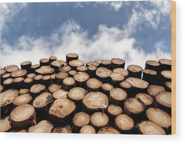 Log Wood Wood Print featuring the photograph Logs by Mike Santis