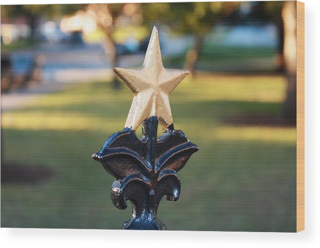 Gold Wood Print featuring the photograph Lone Star by Valerie Loop