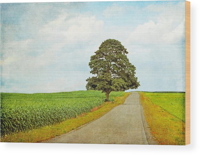 Maple Tree Art Wood Print featuring the photograph Lone Tree by Brooke T Ryan