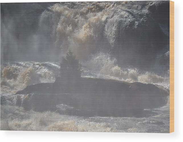 High Falls State Park Wood Print featuring the photograph Lone Tree in the Mist by Tara Potts