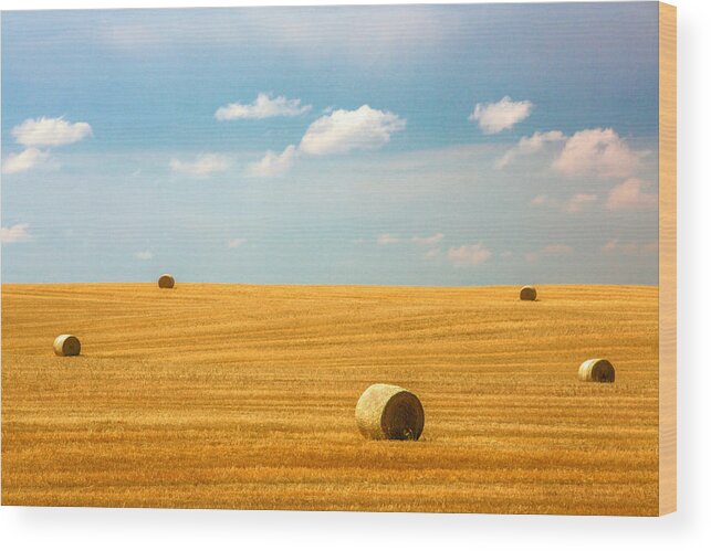 Field Wood Print featuring the photograph Lonely Fields by Todd Klassy