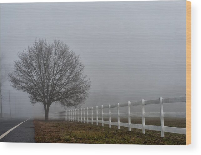 Goshen Pond Wood Print featuring the photograph Lonely Tree by Louis Dallara