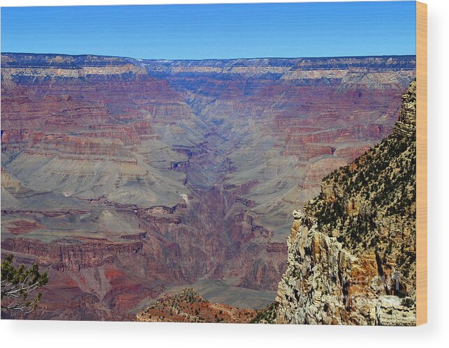 Canyon Wood Print featuring the photograph Long View Canyon by Lennie Malvone