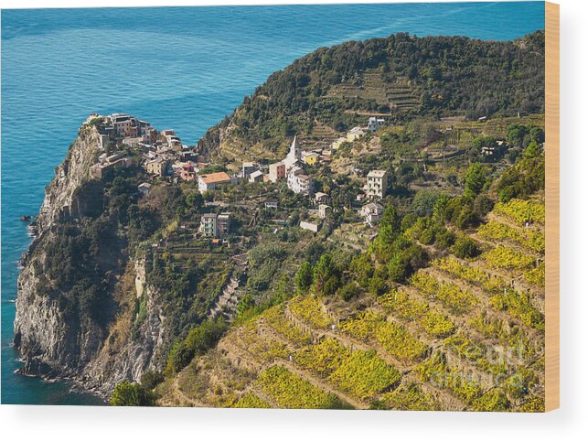 Italy Wood Print featuring the photograph Looking Down onto Corniglia by Prints of Italy