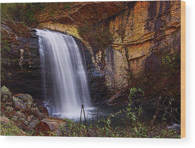 Looking Glass Falls Photo Wood Print featuring the photograph Looking Glass Falls Brevard NC by Bob Pardue