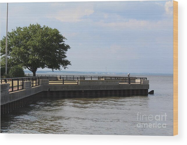 Riverfront Wood Print featuring the photograph Lookout Point by David Jackson