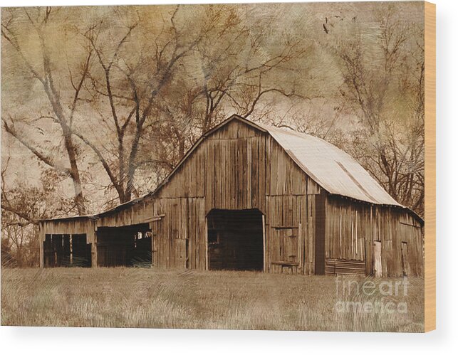 Old Wooden Barn Wood Print featuring the photograph Lost In The Past by Betty LaRue