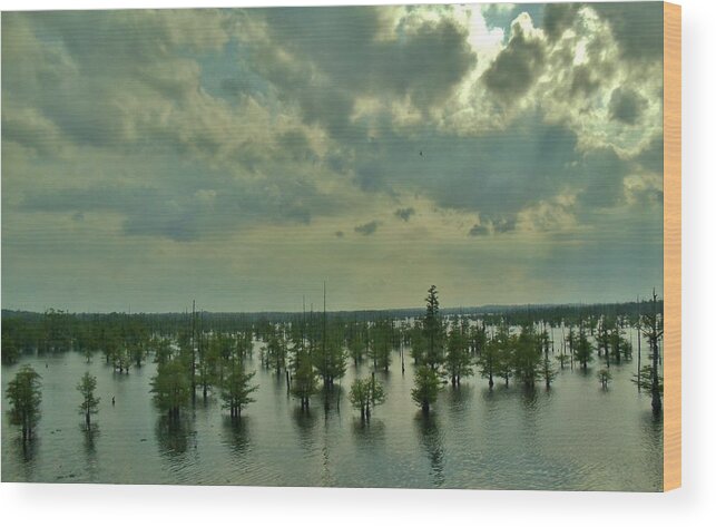 Sky Wood Print featuring the photograph Louisiana Aqua Forest by Ed Sweeney