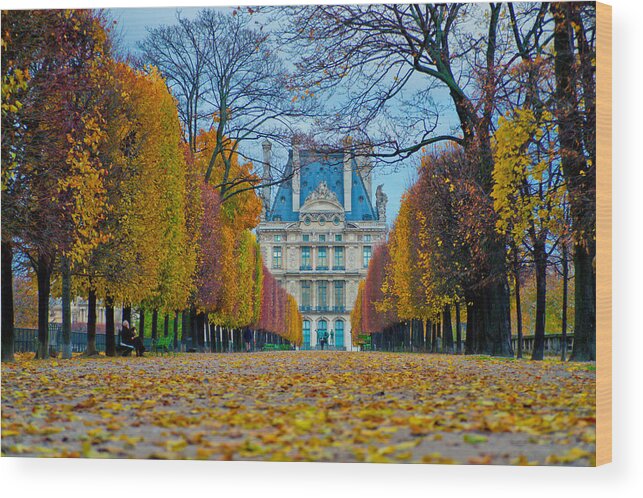 France Wood Print featuring the photograph Louvre in Fall by Kent Nancollas