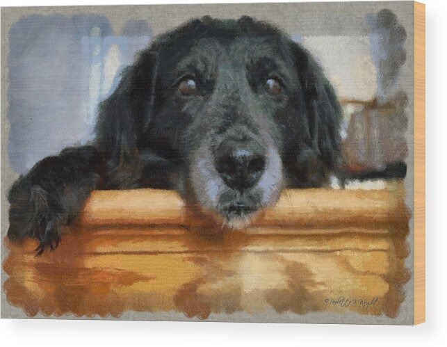 Wright Fine Art Wood Print featuring the photograph Love In A Puppy's Eyes by Paulette B Wright