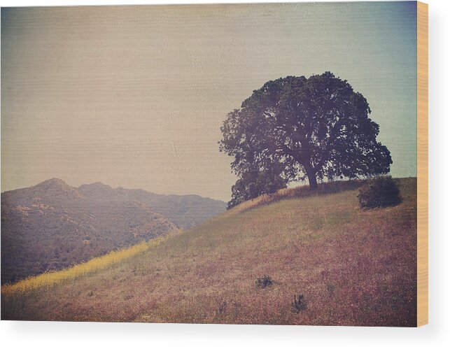 Mt. Diablo State Park Wood Print featuring the photograph Love Lifts Us Up by Laurie Search