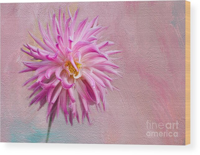 Texture Wood Print featuring the photograph Lovely Pink Dahlia by Norma Warden