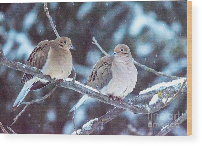 Snow Wood Print featuring the photograph Lovey Dovey by Cheryl Baxter