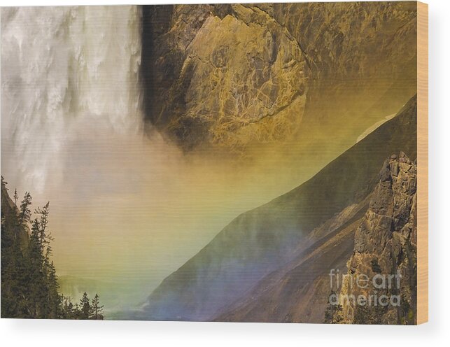 Yellowstone National Park Wood Print featuring the photograph Lower Falls Rainbow - Yellowstone by Sandra Bronstein