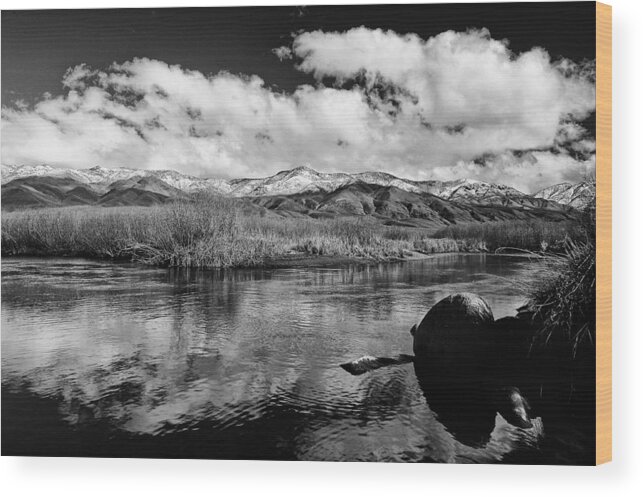 River Wood Print featuring the photograph Lower Owens River by Cat Connor