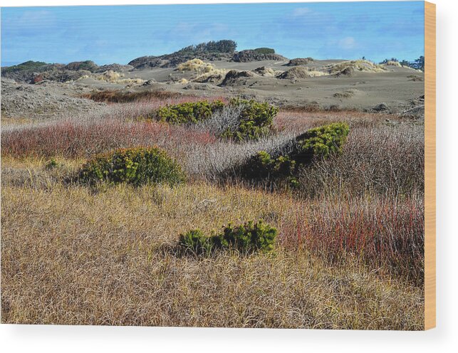 Dunes Wood Print featuring the photograph Ma-le'l Dunes by Jon Exley