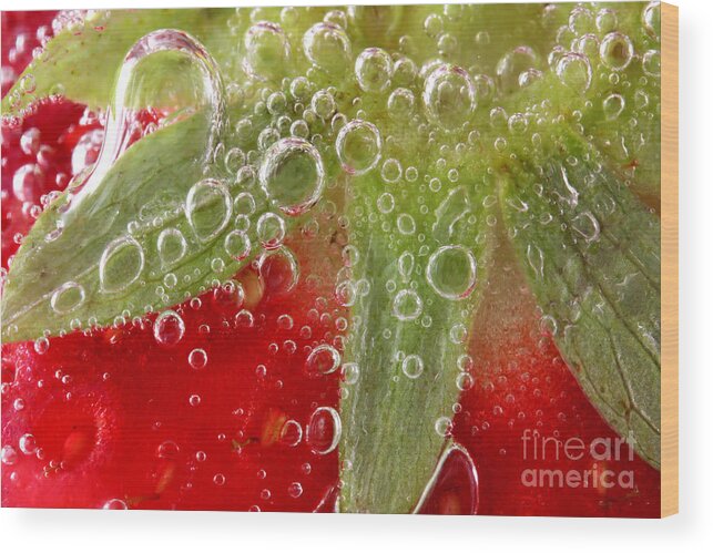 Strawberry Wood Print featuring the photograph Macro of strawberry in water by Simon Bratt