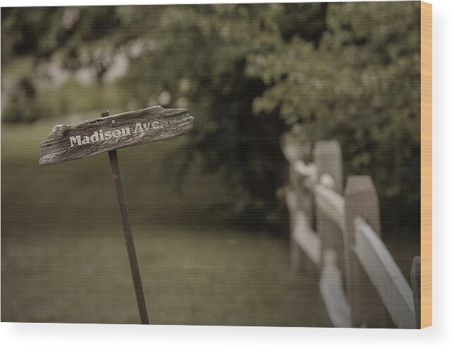 Madison Avenue Wood Print featuring the photograph Madison Avenue by Steve Gravano