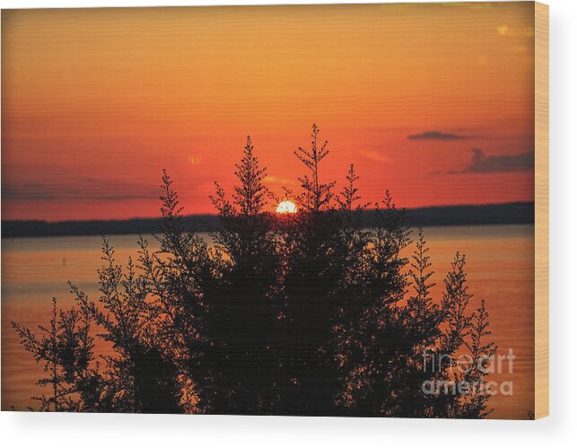 Sunset Wood Print featuring the photograph Magic At Sunset by Ella Kaye Dickey