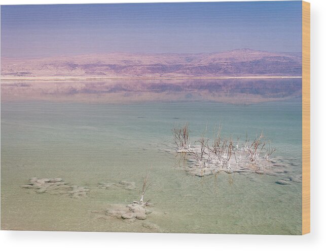 Middle East Wood Print featuring the photograph Magic colors of the Dead Sea by Sergey Simanovsky