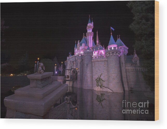 Disney Wood Print featuring the photograph Magical Disney by Shishir Sathe
